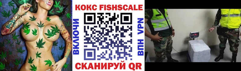 OMG tor  Карачев  COCAIN FishScale 