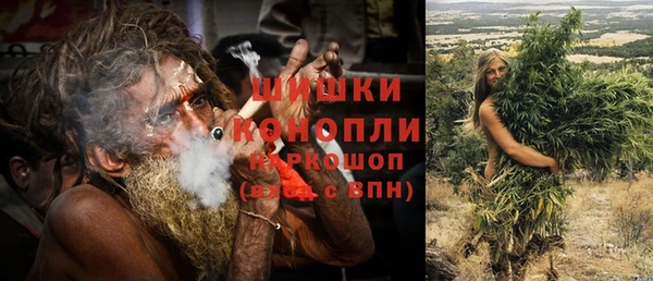 молекула духа Балахна