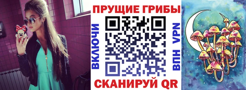 как найти наркотики  Карачев  Галлюциногенные грибы ЛСД 